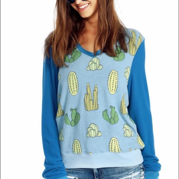 Wildfox Sweaters - WILDFOX Cactus Baggy Beach Cactus Jumper Pullover💚💙